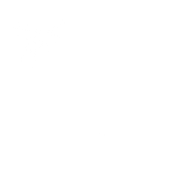 Abelha sem Ferrão e Casa Meliponário