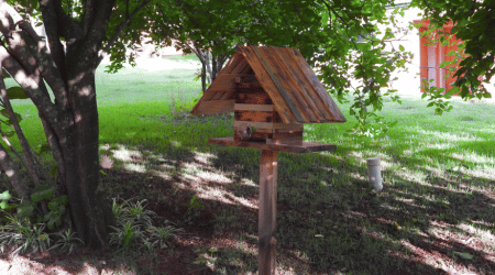 Casa das Abelhas - Meliponário Flores da Mata