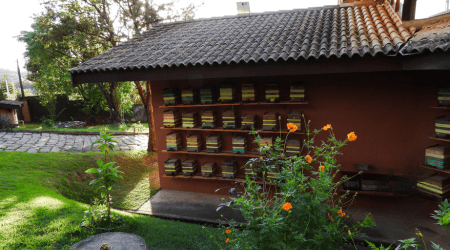 Conheça o Meliponário Flores da Mata